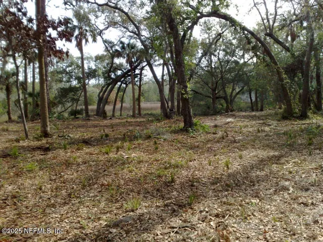 a view of a yard with palm trees