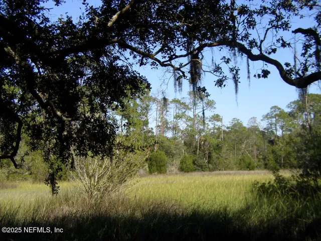 a view of dirt yard with a tree