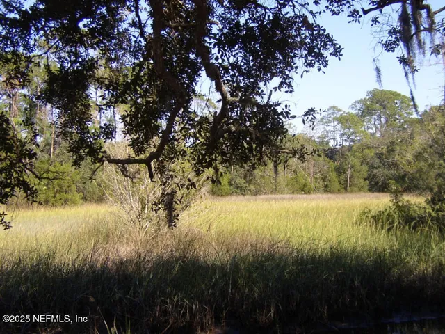 a view of a forest from a sink