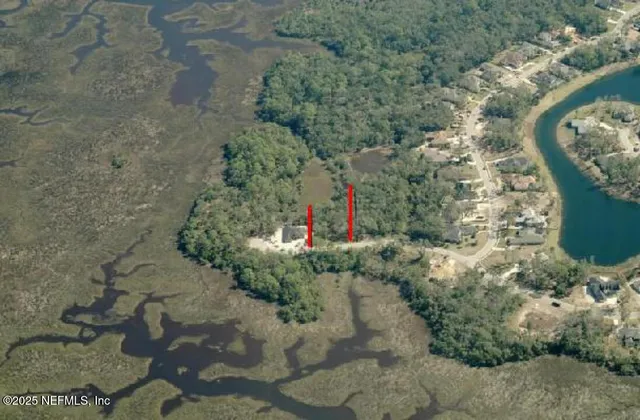 a view of a trees in a yard