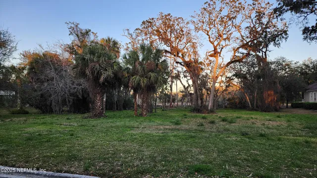 a view of a backyard