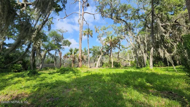 a view of a field with of trees