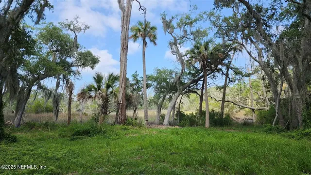 a view of swimming pool and trees
