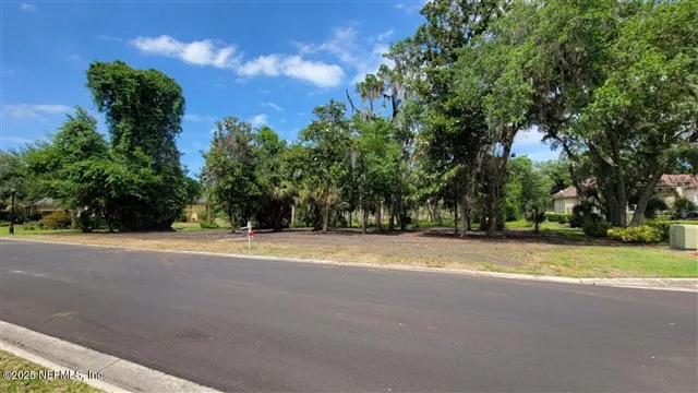 a view of backyard with green space