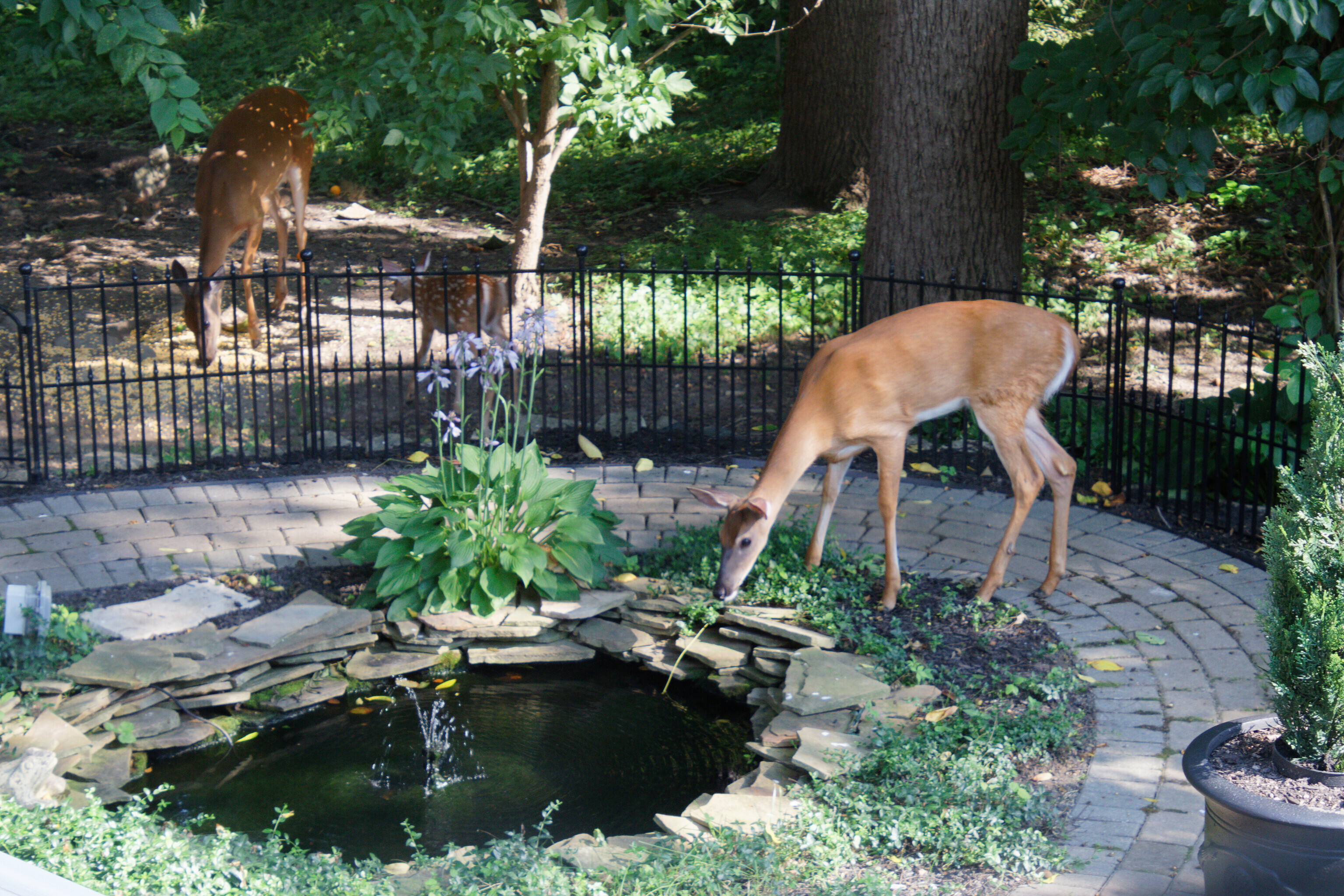 9755 Covington Boulevard Fishers, IN 46037 - Photo 65 of 71