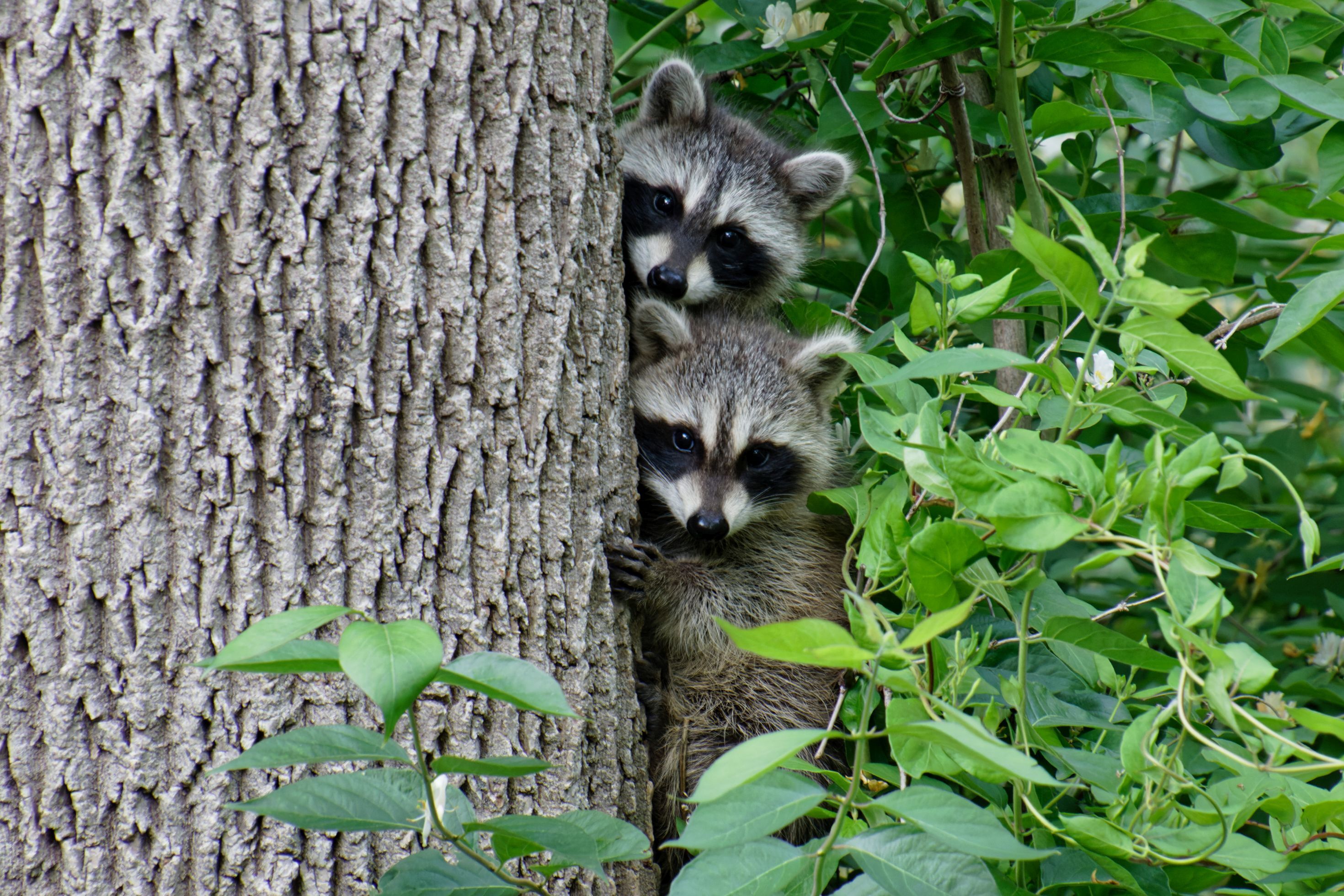 9755 Covington Boulevard Fishers, IN 46037 - Photo 69 of 71