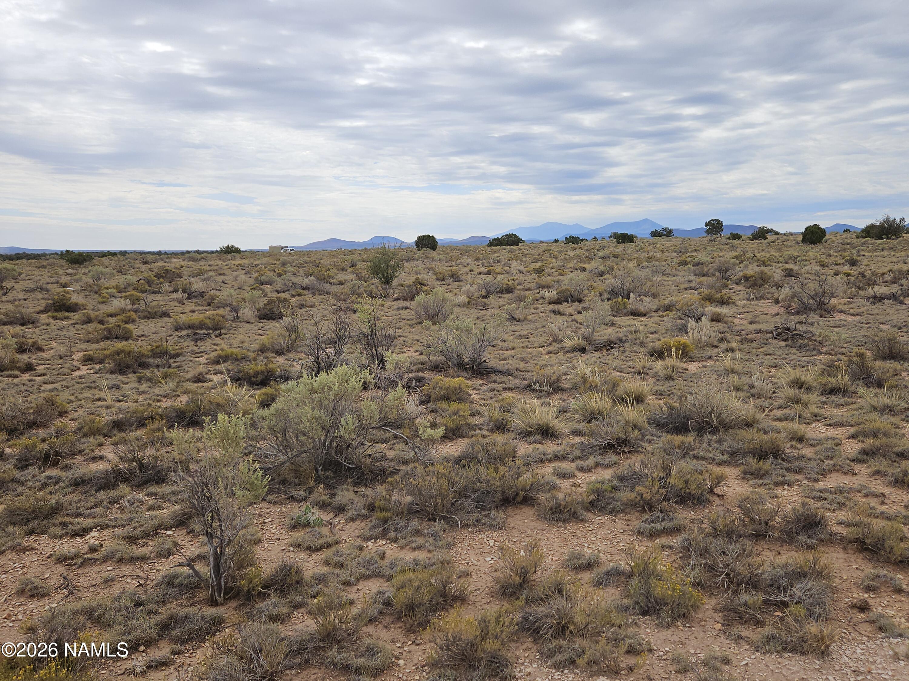 2937 Dewey Road Williams, AZ 86046 - Photo 1 of 3 2026-07-26 09.41.16