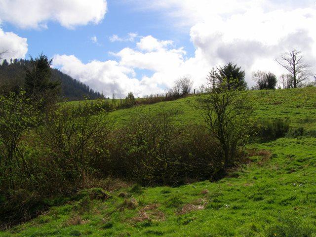 23 Skyview Road Tillamook, OR 97141 - Photo 16 of 41 P3180294
