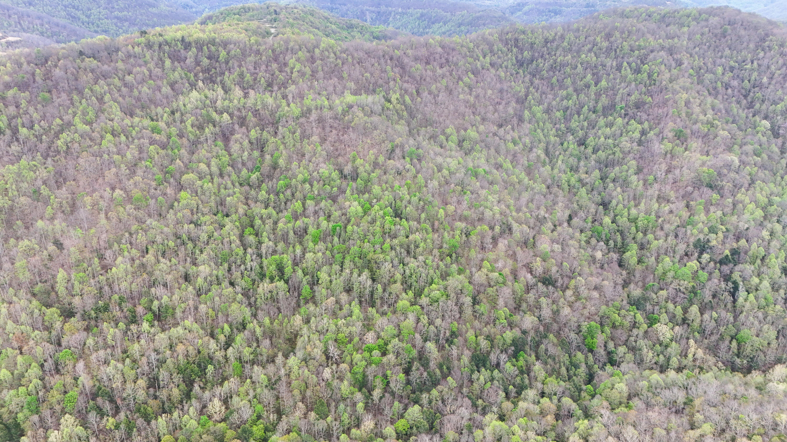 0 Dryfork Road Helton, KY 40840 - Photo 23 of 27 IMG_5489