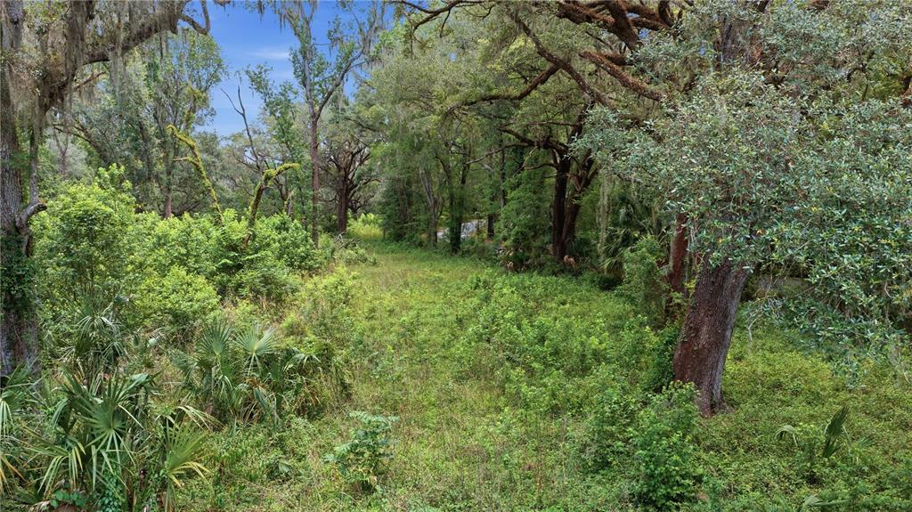17400 Northwest 120th Ave Road Reddick, FL 32686 - Photo 8 of 37