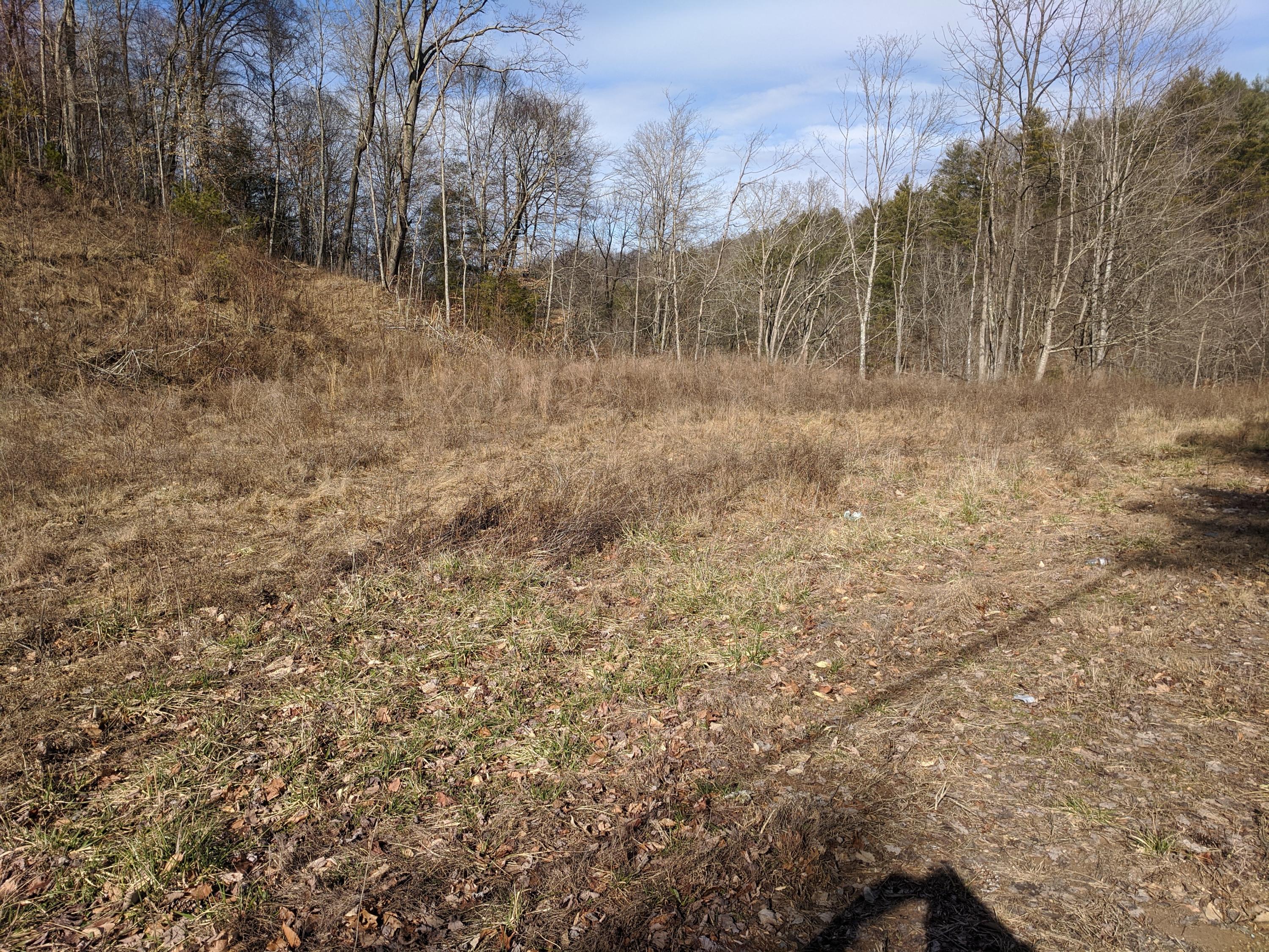 Ward 2.62 Acres (1)