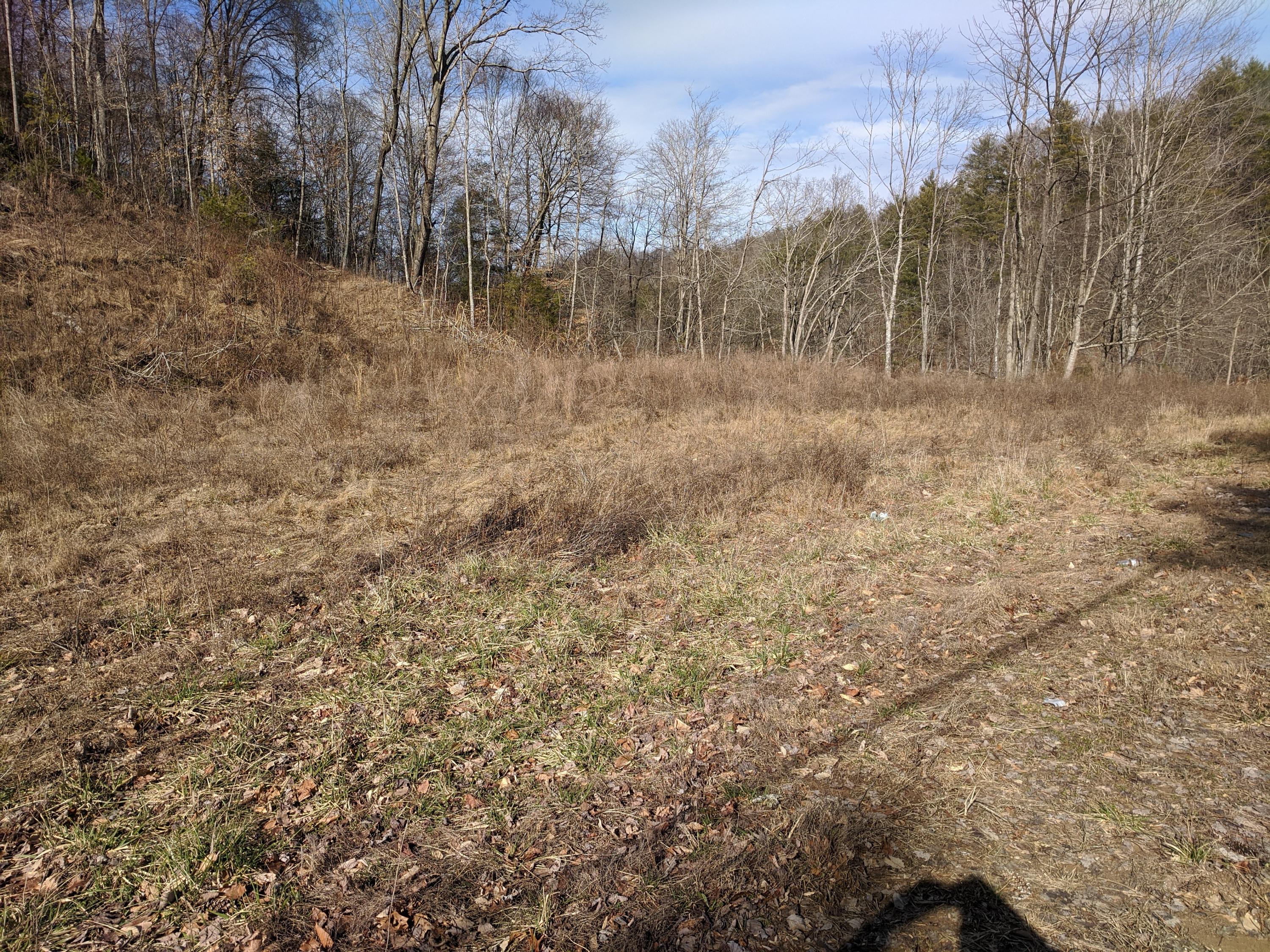 Tbd U S 321 Butler, TN 37640 - Photo 2 of 2 Ward 2.62 Acres (2)
