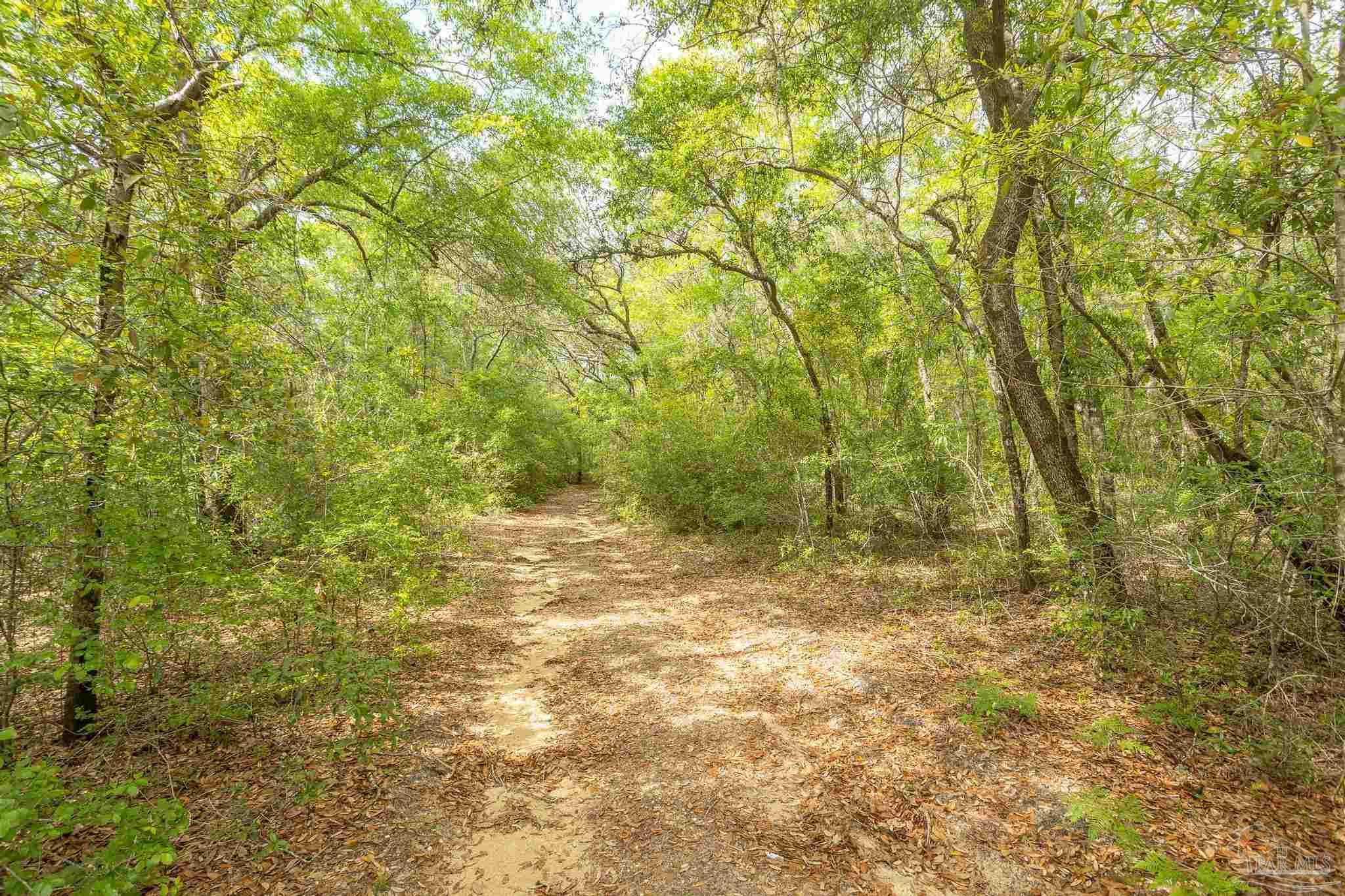 7730 South Airport Road Milton, FL 32583 - Photo 5 of 15 Gallery Image 5