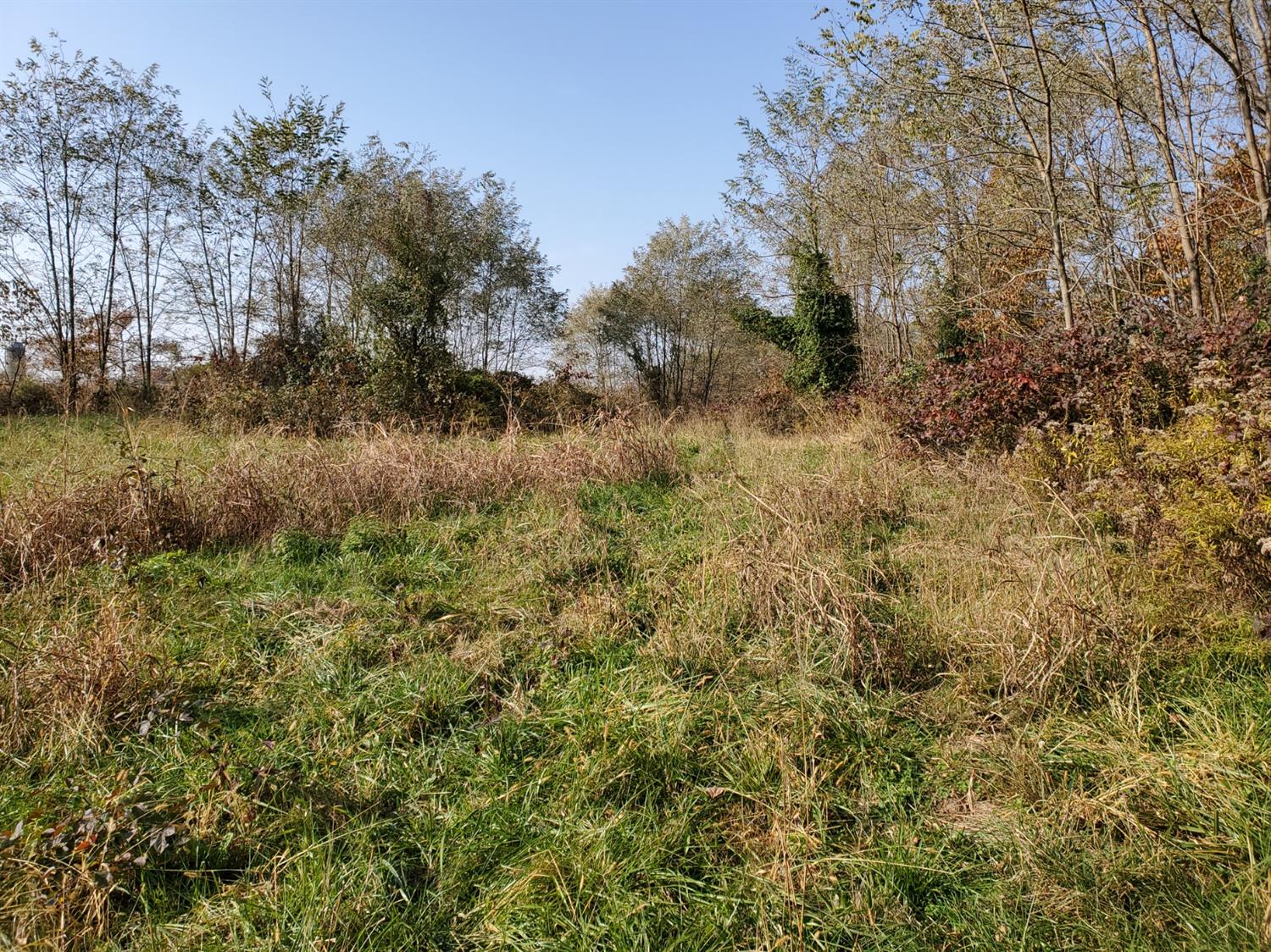 0 Sr 56` Rising Sun In 47040 Rising Sun, IN 47040 - Photo 14 of 14