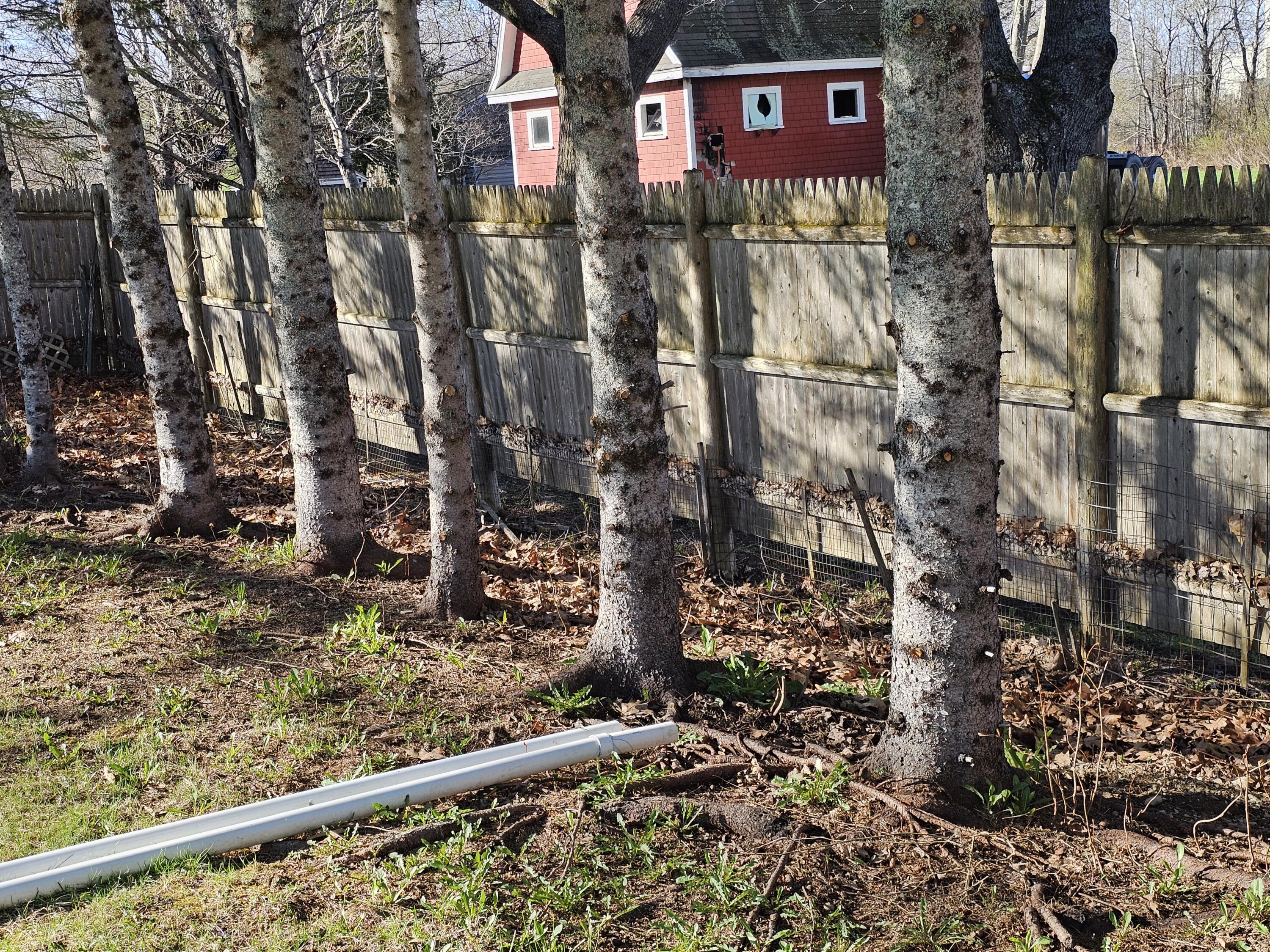 436 Station Road Stacyville, ME 04777 - Photo 62 of 66 20260511_075310