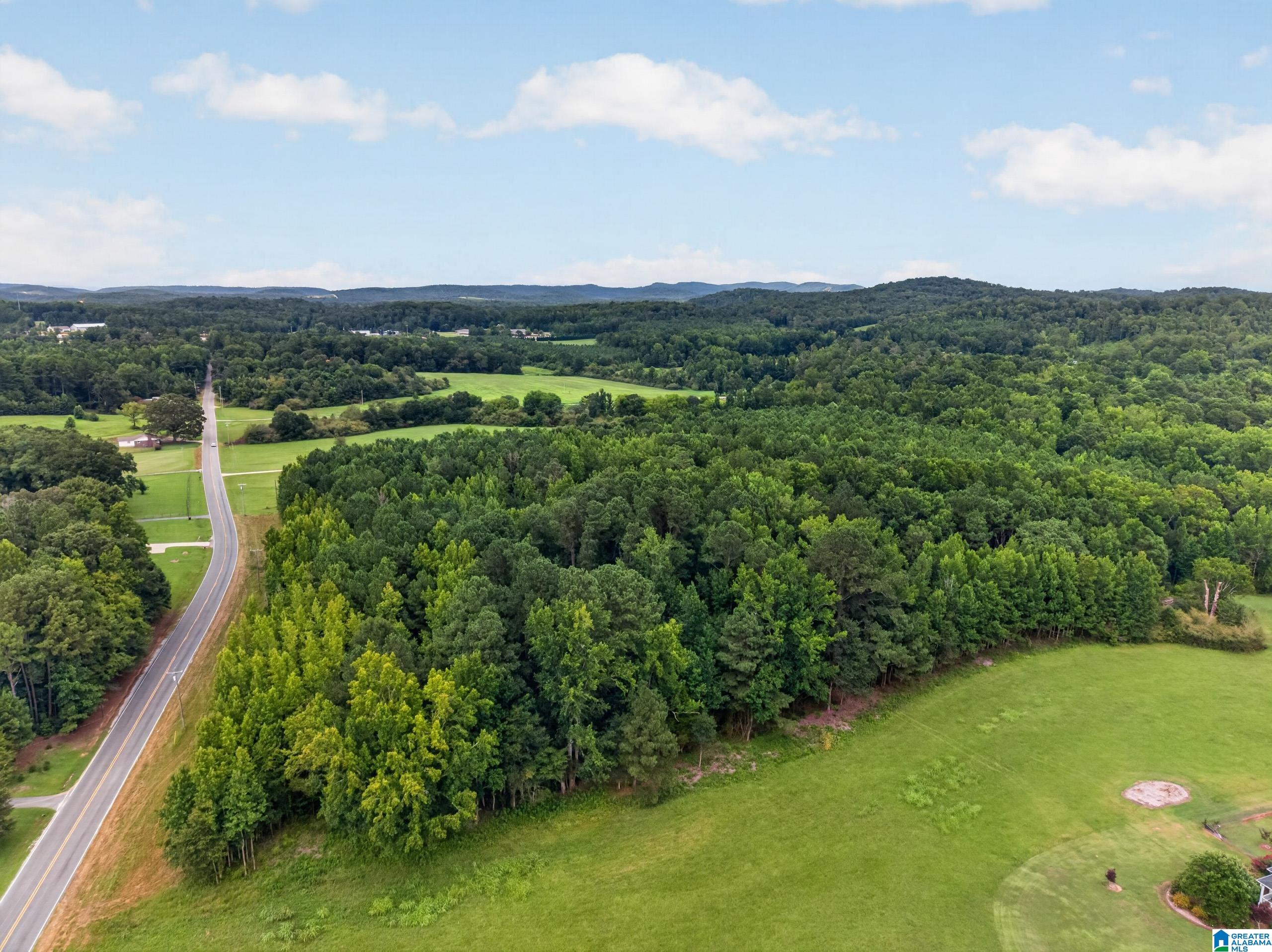 0 Pleasant Valley Road Jacksonville, AL 36265 - Photo 3 of 14 Gallery Image 3