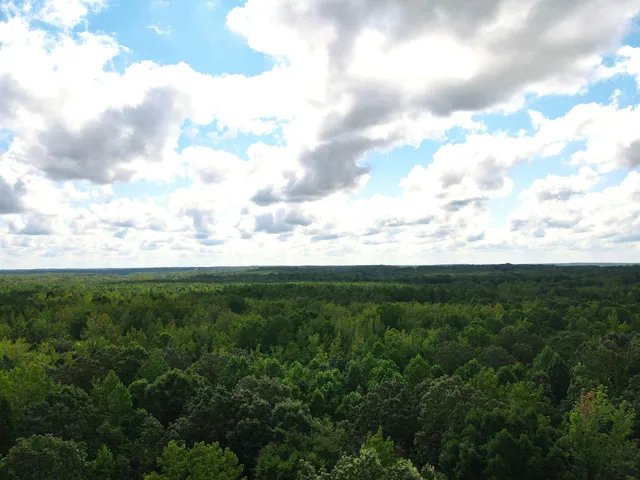 a view of a big green field with lots of trees