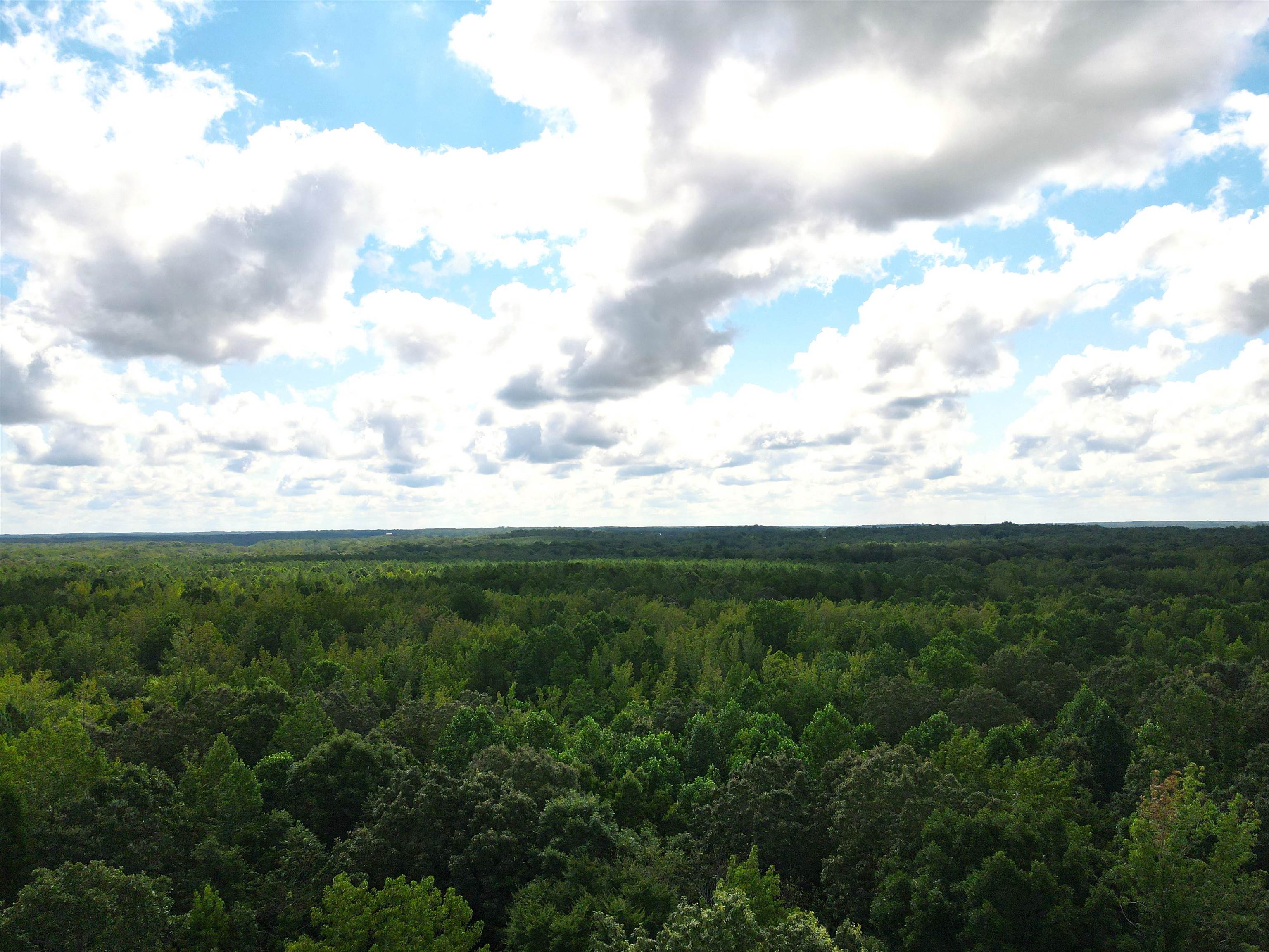 McNairy Road Bethel Springs, TN 38315 - Photo 1 of 16 a view of a big green field with lots of trees