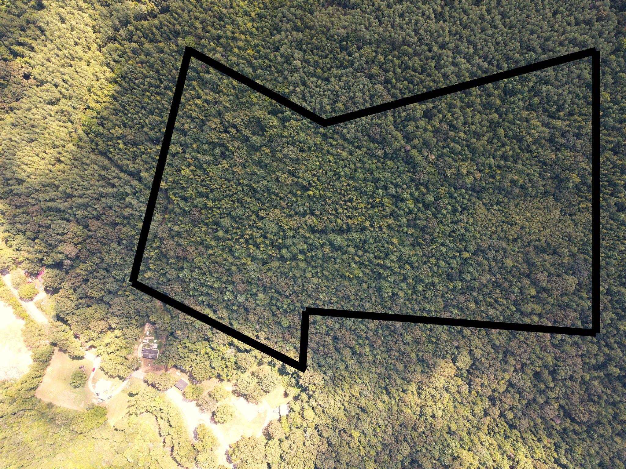 McNairy Road Bethel Springs, TN 38315 - Photo 15 of 16 a view of a door