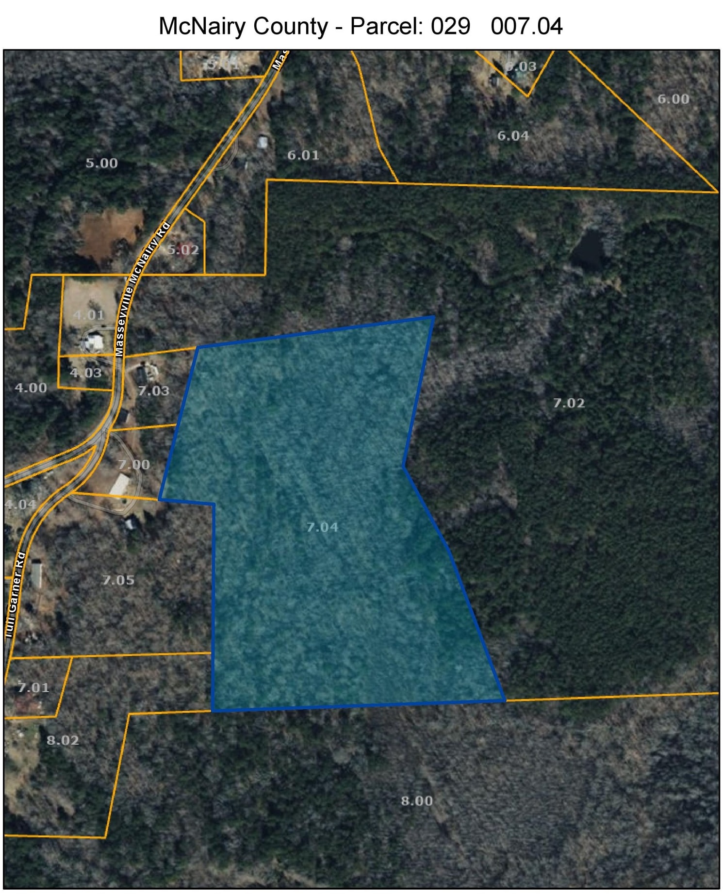 McNairy Road Bethel Springs, TN 38315 - Photo 16 of 16 a view of a backyard