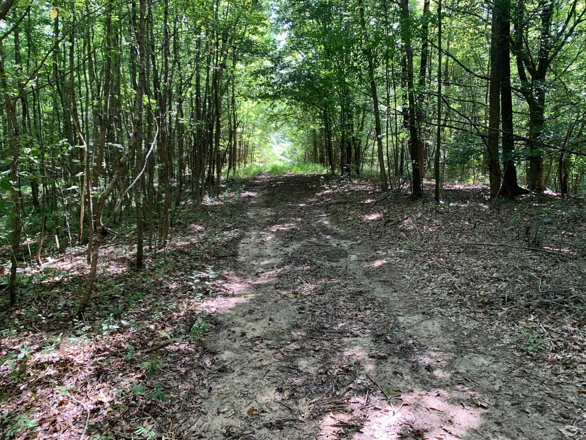 McNairy Road Bethel Springs, TN 38315 - Photo 2 of 16 a view of outdoor space and tree