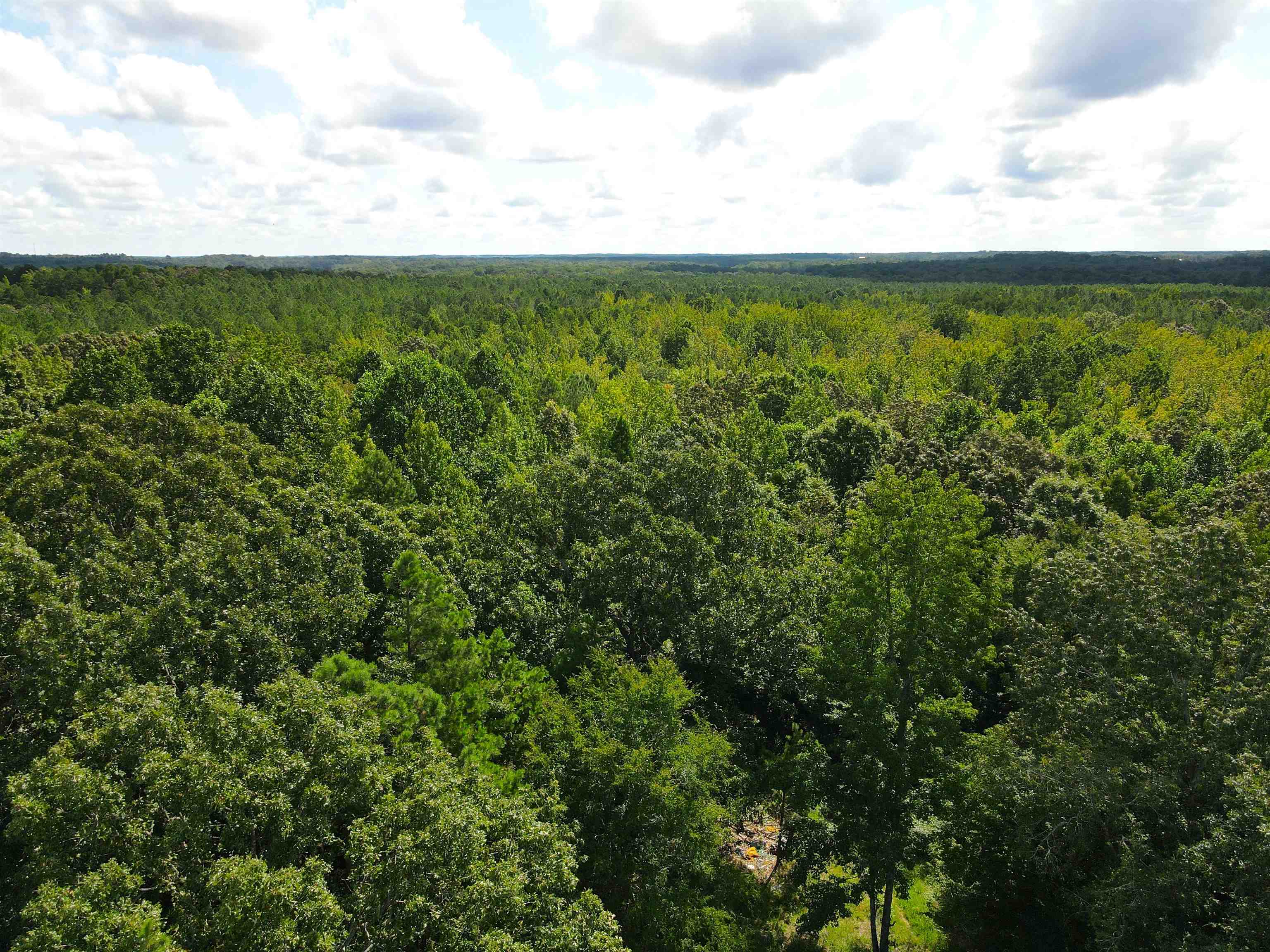 McNairy Road Bethel Springs, TN 38315 - Photo 8 of 16 a view of a lake