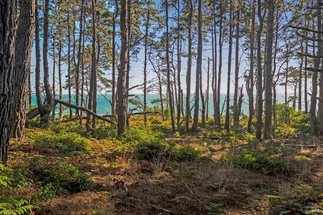 $850,000 | 35700 Highway 1, Anchor Bay, CA 95445