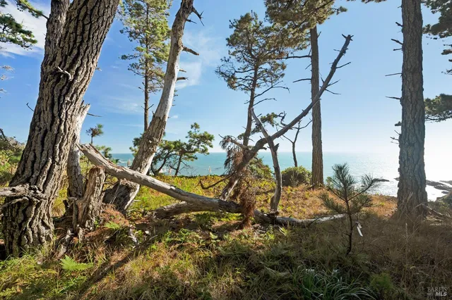 $850,000 | 35700 Highway 1, Anchor Bay, CA 95445