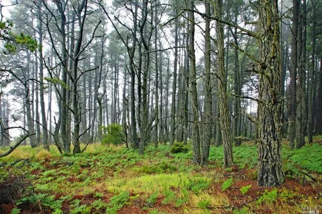 $850,000 | 35700 Highway 1, Anchor Bay, CA 95445