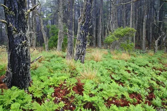 $850,000 | 35700 Highway 1, Anchor Bay, CA 95445