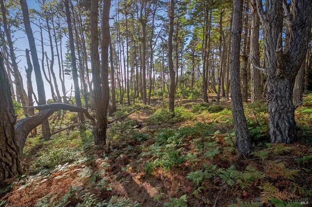 $850,000 | 35700 Highway 1, Anchor Bay, CA 95445