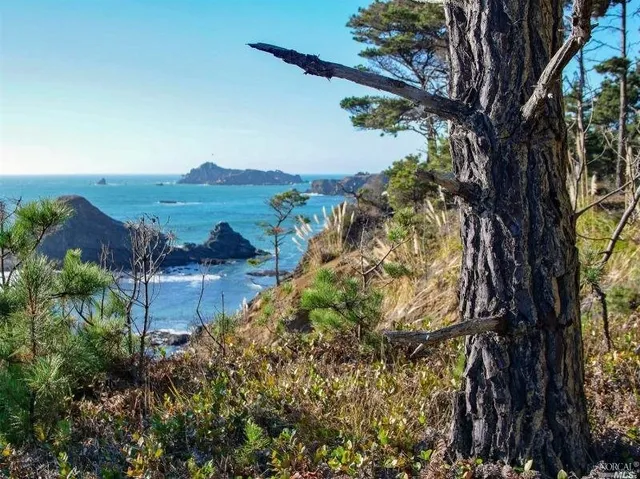 $850,000 | 35700 Highway 1, Anchor Bay, CA 95445