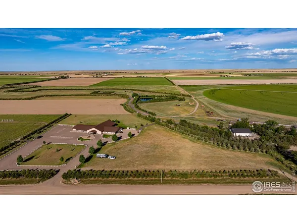 a black and white photo of a lake