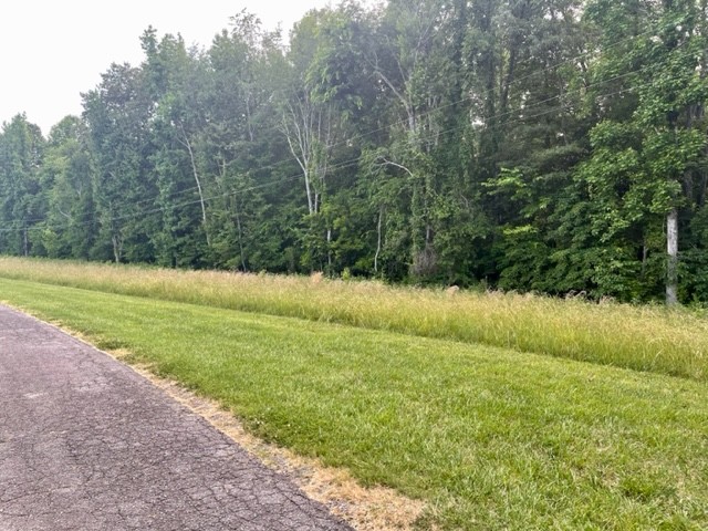 0 Boat Factory Road Pleasant View, TN 37146 - Photo 1 of 5 Gallery Image 1