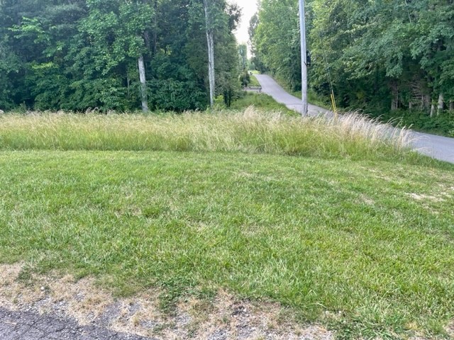 0 Boat Factory Road Pleasant View, TN 37146 - Photo 2 of 5 Gallery Image 2