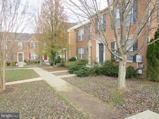 a view of road with large trees