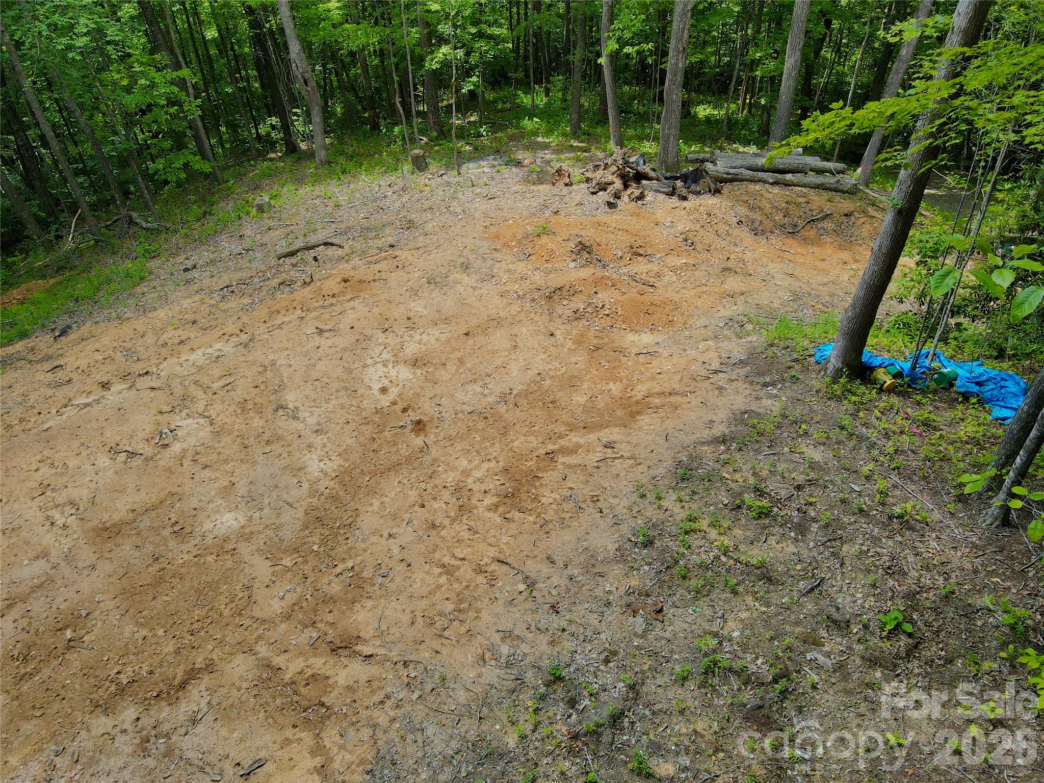 Tbd Old Chestnut Mountain Road Newland, NC 28657 - Photo 5 of 33 a view of a yard with a tree