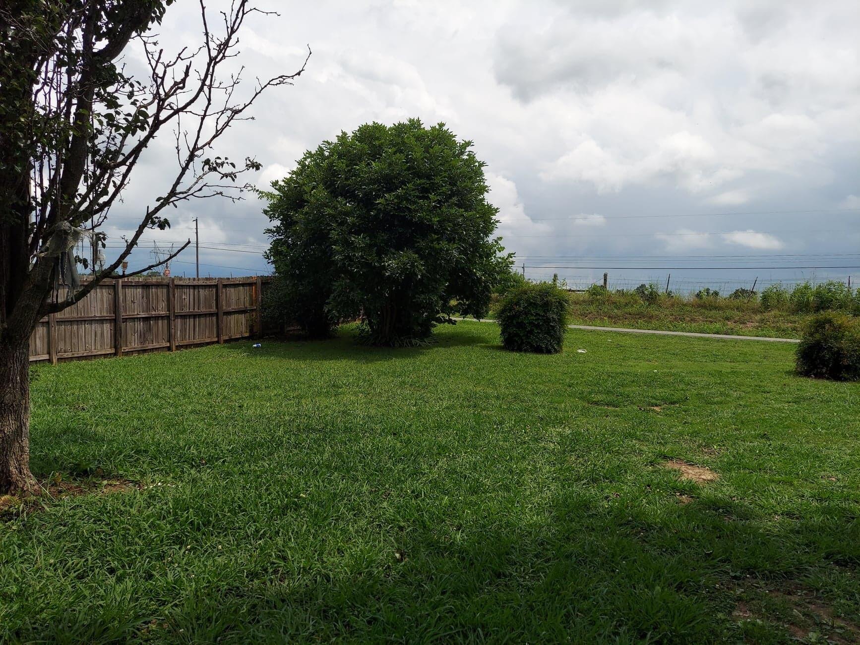 4976 St Paul Road Morristown, TN 37813 - Photo 6 of 36 291989914_433700318642297_10151483741937