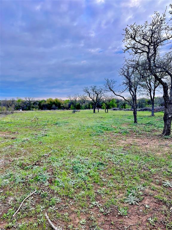 0 Stagecoach Trail Gordon, TX 76453 - Photo 3 of 8 a view of a lush green space