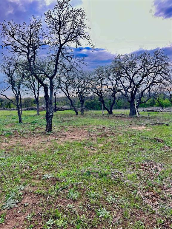 0 Stagecoach Trail Gordon, TX 76453 - Photo 4 of 8 a view of a park with large trees