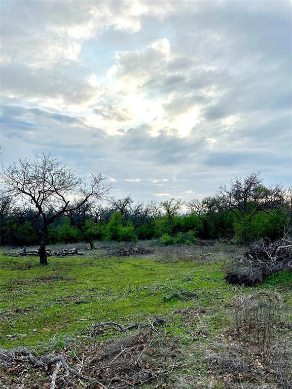 0 Stagecoach Trail Gordon, TX 76453 - Photo 6 of 8 a view of outdoor space with deck and yard