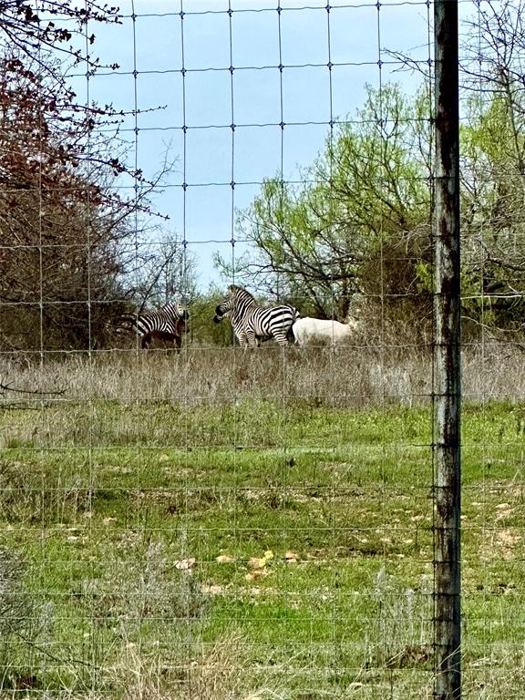 0 Stagecoach Trail Gordon, TX 76453 - Photo 8 of 8 a view of a garden
