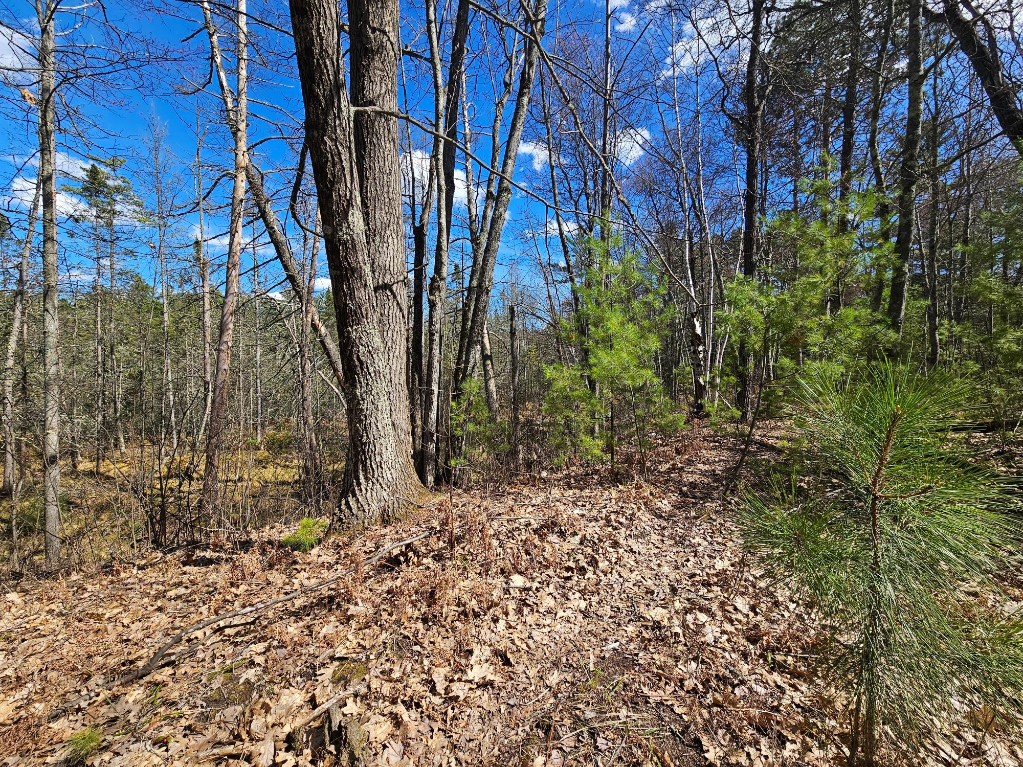 On Howards End Road Minocqua, WI 54548 - Photo 9 of 15 Gallery Image 9