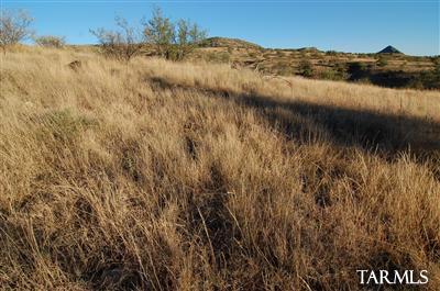 0 Sonoita Springs Ranch Road, Unit 21C Patagonia, AZ 85624 - Photo 10 of 21