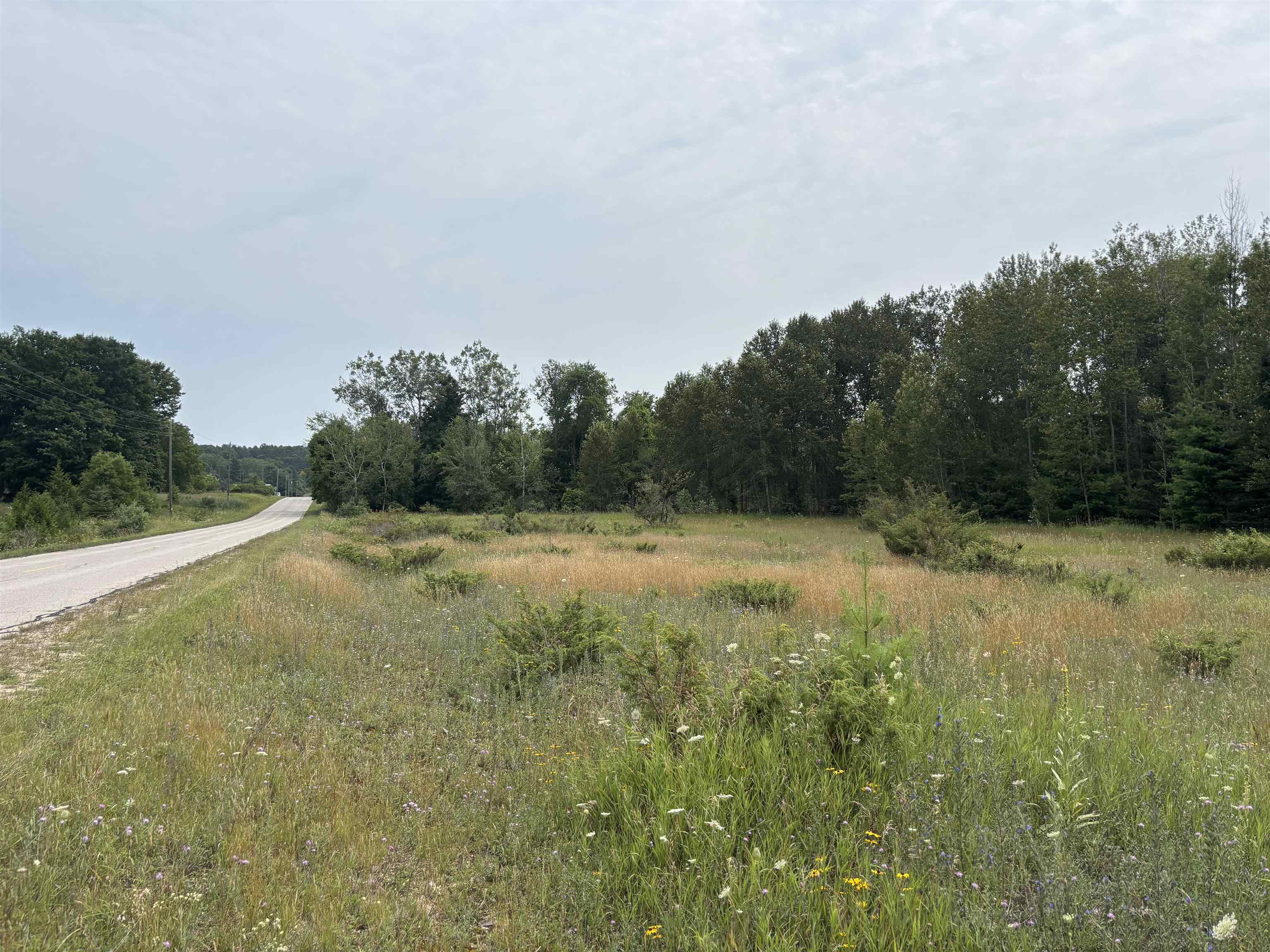 0 Lore Road Ellsworth, MI 49729 - Photo 13 of 15 1948813-90e0a4dd-86fe-4c36-ac03-eb866ee92a67.JPG