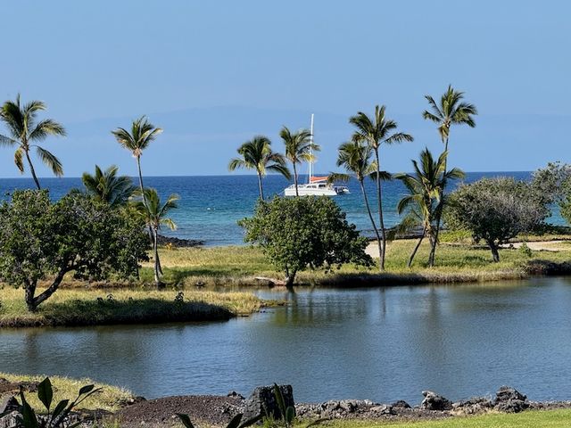 a view of a lake with a building in the background