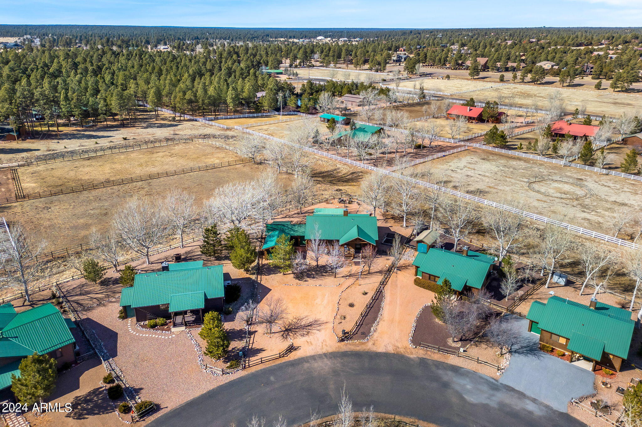 2320 Buffalo Loop Overgaard, AZ 85933 - Photo 52 of 54 ARIEL VIEW