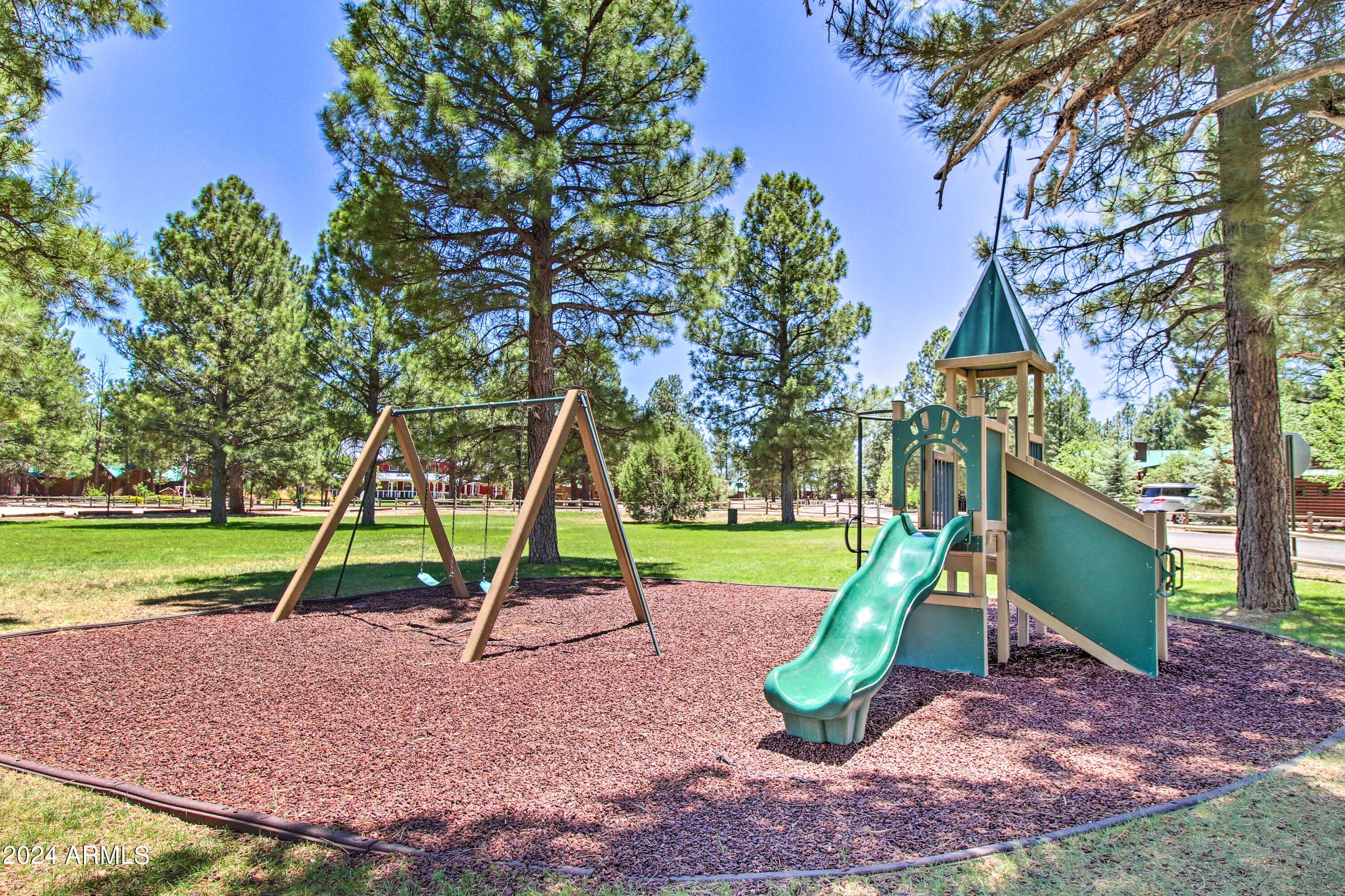 2320 Buffalo Loop Overgaard, AZ 85933 - Photo 53 of 54 PARK PLAYGROUND