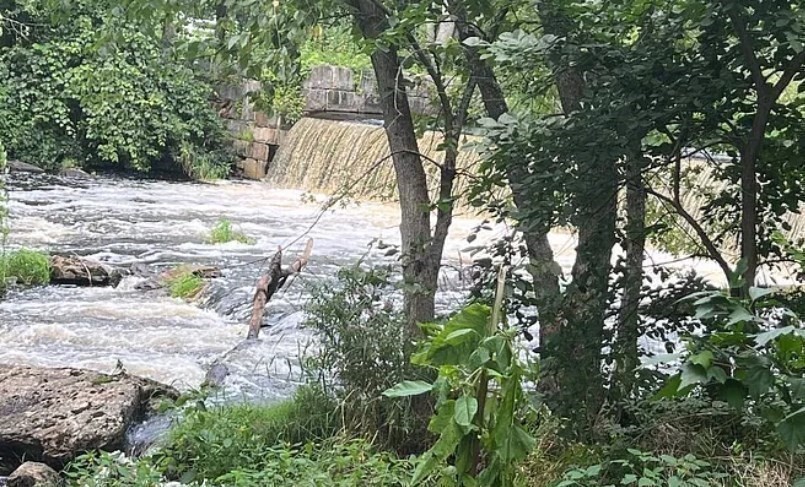 471 Gleasondale Road, Unit 1 Stow, MA 01775 - Photo 9 of 11 a view of yard