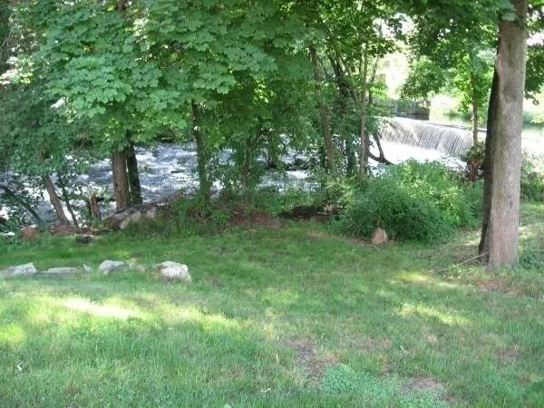 a view of a trees with a yard